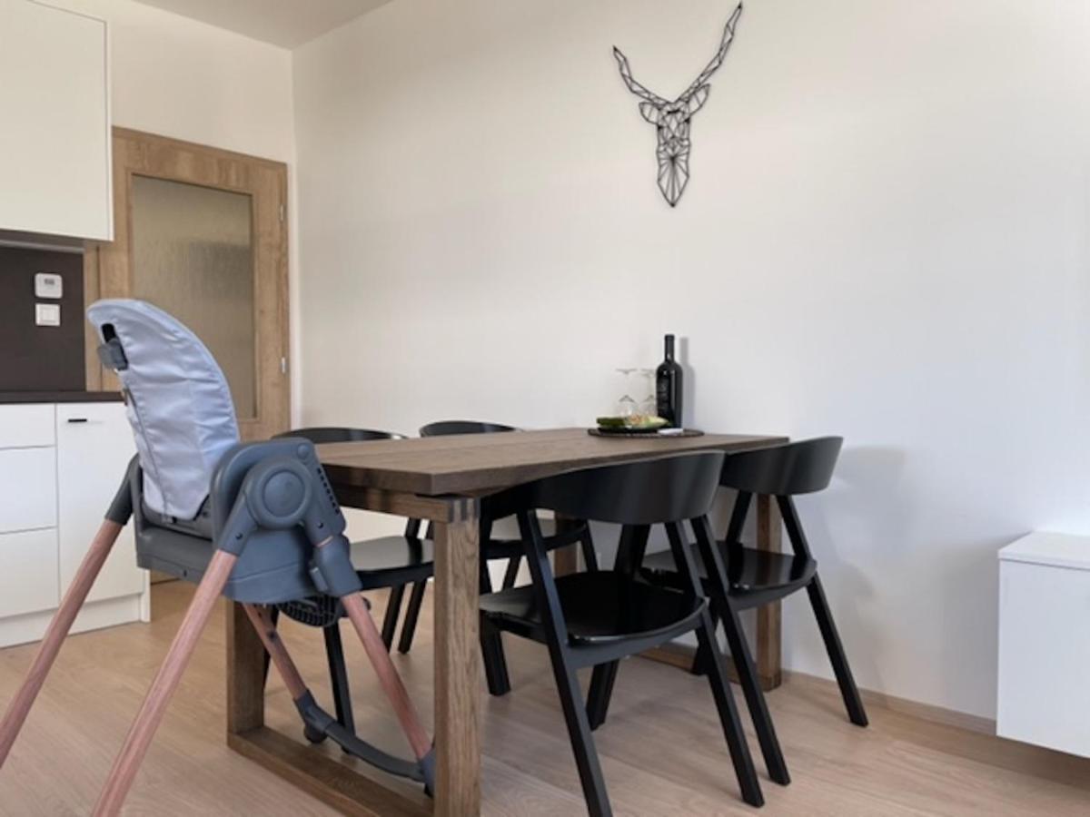 Klinovec Apartments Luxury Loučná pod Klínovcem Exteriör bild